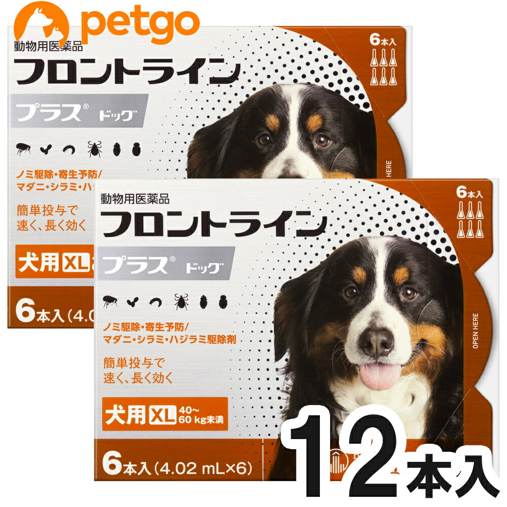 【2箱セット】犬用フロントラインプラスドッグXL 40kg～60kg 6本 6ピペット 動物用医薬品 【あす楽】