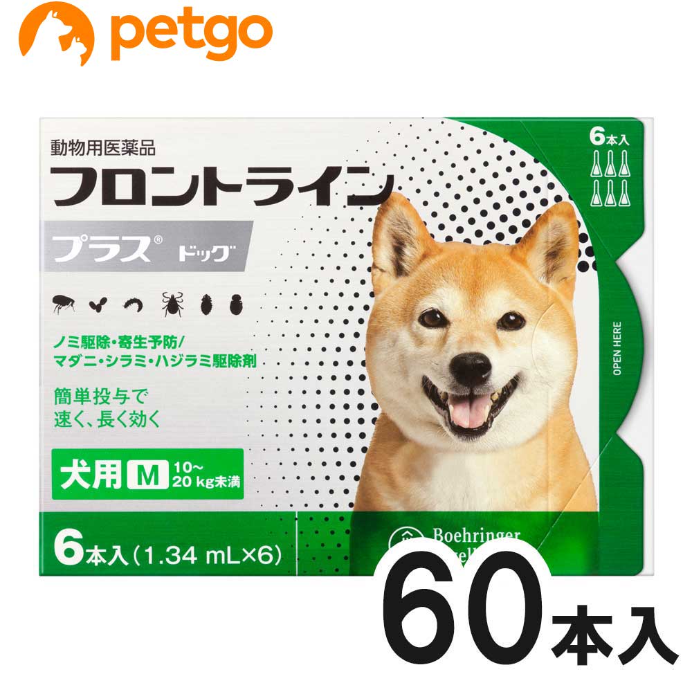 楽天ペットゴー 3号館 楽天市場店【10箱セット】犬用フロントラインプラスドッグM 10kg～20kg 6本（6ピペット）（動物用医薬品） 【あす楽】