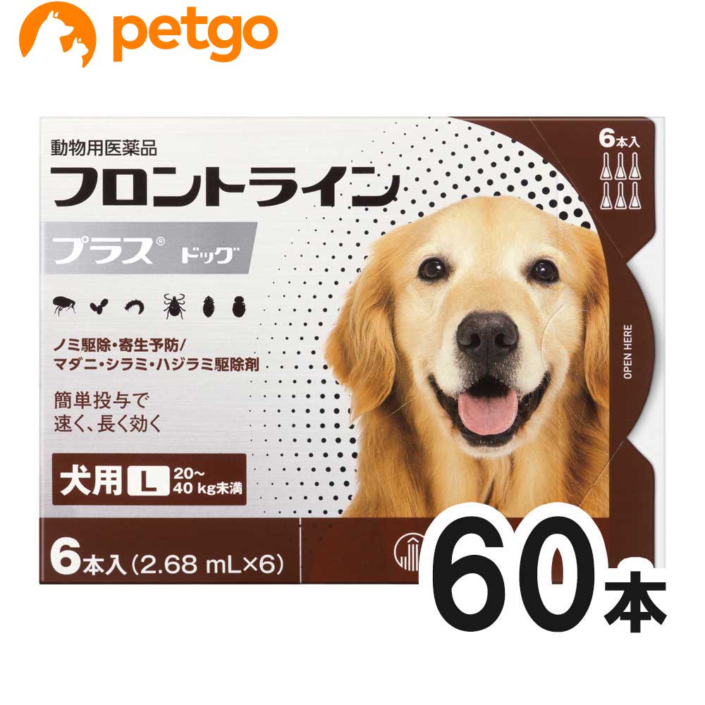 【10箱セット】犬用フロントラインプラスドッグL 20kg～40kg 6本（6ピペット）（動物用医薬品） 【あす楽】