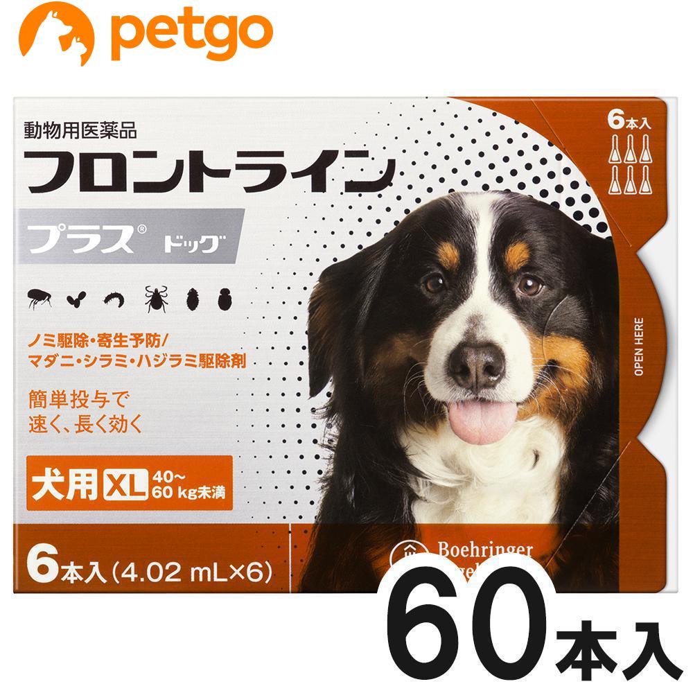 【10箱セット】犬用フロントラインプラスドッグXL 40kg～60kg 6本（6ピペット）（動物用医薬品）【あす楽】