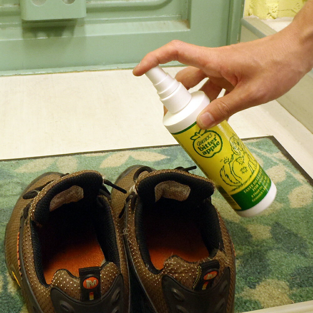 �ӥ������åץ� ���ץ졼 236mL��8oz��