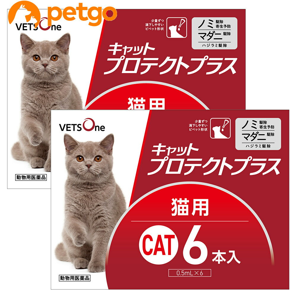 【使用期限：2026年10月以降の商品を出荷させていただきます。】【沖縄県へのお届けは陸送でのお届けとなります。お届けまでに約一週間程度かかりますので、あらかじめご了承ください。】 必ず製品の添付文書をよく読み用法用量を守って正しくご使用ください。セットでの販売の商品になります。単品での返品は一切お受けしておりません。あらかじめご了承くださいませ。 キャットプロテクトプラスは猫に寄生するノミ、マダニ、ハジラミを駆除します。 ・ノミの駆除寄生予防効果1～1.5か月間 ・マダニ駆除効果約3週間 ・8週齢以上の子猫（体重制限なし）から使用可能 ・肩甲骨間に滴下するだけの簡単投与 キャットプロテクトプラスの成分であるフィプロニルは猫に寄生するノミ・マダニ・ハジラミを駆除します。 （S）－メトプレンは、ノミの卵の孵化及び幼虫の変タイを阻害し、猫へのノミ寄生を予防します。 【特長】 ●少量ずつ滴下しやすいピペット形状 ●ピペットは開封後立てておくことができます ●日本国内のGMPガイドラインを遵守した動物用医薬品製造工場で製造 ■効能効果：ノミ、マダニ及びハジラミの駆除 ノミ卵の孵化阻害及びノミ幼虫の変態阻害によるノミ寄生予防 ■用法用量：8週齢以上の猫の肩甲骨間背部の被毛を分け、皮膚上の1部位に直接ピペット全量を滴下する。 ■使用上の注意：【猫に関する注意】 ・衰弱、高齢、妊娠中あるいは授乳中の猫に対する投与については獣医師と相談し、投与の適否を慎重に決定すること。 ・本剤は外用以外に使用しないこと。 ・本剤の最短投与期間は4週間とすること。 ・本剤使用後2日間は、水浴あるいはシャンプーを控えることが望ましい。 ・副作用が認められた場合には、速やかに獣医師の診察を受けること。 ・もし、動物が舐めた場合、溶媒の性状のため一過性の流涎が観察されることがある。そのため、滴下部位を他の動物が舐めないように注意すること。 ・まれに、他の外用殺虫剤と同様に本剤の使用後、個体差による一過性の過敏症（投与部位の刺激によるそう痒、発赤、脱色、脱毛）が起こることがある。もし、症状が持続または悪化する場合は、直ちに獣医師に相談すること。 ■保管上の注意：・小児の手の届かないところに保管すること。 ・直射日光を避け、なるべく湿気の少ない涼しいところに保管すること。 ・使用済みの容器等を廃棄する際には、環境や水系を汚染しないように注意し地方公共団体条例等に従い処分すること。 ■その他注意：・本剤は効能・効果において定められた目的にのみ使用すること。 ・本剤は定められた用法・用量を厳守すること。 ・本剤は獣医師の指導の下で使用すること。 ・猫以外の動物には使用しないこと。特にウサギには使用しないこと。 ■主成分：1mL中フィプロニル 100mg（S）－メトプレン 120mg ■JANコード：4580298872023 ■原産国：日本 ■メーカー：ベッツワン ■区分：動物用医薬品 ■広告文責：ペットゴー株式会社　0120-958-046 ■更新日時：2024/04/08 16:27:09 ＜免責事項＞本サイトに掲載されている商品情報は、商品パッケージやカタログ、またはメーカーから提供された情報に基づくものであり、その内容について当社は責任を負いかねます。これらについてのお問い合わせはメーカーに直接行っていただきますようお願いいたします。また、メーカーによる仕様変更に伴い商品の表記と実際の仕様が異なる場合がございます。