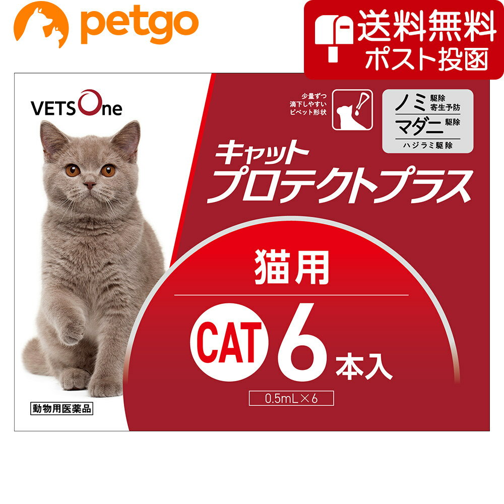 【ネコポス 同梱不可 】ベッツワン キャットプロテクトプラス 猫用 6本 動物用医薬品 【あす楽】