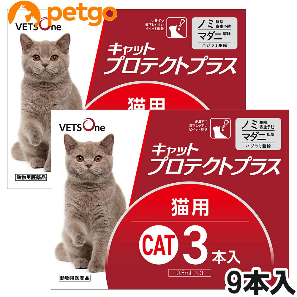 【使用期限：2026年5月以降の商品を出荷させていただきます。】【沖縄県へのお届けは陸送でのお届けとなります。お届けまでに約一週間程度かかりますので、あらかじめご了承ください。】 必ず製品の添付文書をよく読み用法用量を守って正しくご使用ください。6ピペットと3ピペットのセットでの販売となります。単品での返品は一切お受けしておりません。あらかじめご了承ください。 キャットプロテクトプラスは猫に寄生するノミ、マダニ、ハジラミを駆除します。 ・ノミの駆除寄生予防効果1～1.5か月間 ・マダニ駆除効果約3週間 ・8週齢以上の子猫（体重制限なし）から使用可能 ・肩甲骨間に滴下するだけの簡単投与 キャットプロテクトプラスの成分であるフィプロニルは猫に寄生するノミ・マダニ・ハジラミを駆除します。 （S）－メトプレンは、ノミの卵の孵化及び幼虫の変タイを阻害し、猫へのノミ寄生を予防します。 【特長】 ●少量ずつ滴下しやすいピペット形状 ●ピペットは開封後立てておくことができます ●日本国内のGMPガイドラインを遵守した動物用医薬品製造工場で製造 ■効能効果：ノミ、マダニ及びハジラミの駆除 ノミ卵の孵化阻害及びノミ幼虫の変態阻害によるノミ寄生予防 ■用法用量：8週齢以上の猫の肩甲骨間背部の被毛を分け、皮膚上の1部位に直接ピペット全量を滴下する。 ■使用上の注意：【猫に関する注意】 ・衰弱、高齢、妊娠中あるいは授乳中の猫に対する投与については獣医師と相談し、投与の適否を慎重に決定すること。 ・本剤は外用以外に使用しないこと。 ・本剤の最短投与期間は4週間とすること。 ・本剤使用後2日間は、水浴あるいはシャンプーを控えることが望ましい。 ・副作用が認められた場合には、速やかに獣医師の診察を受けること。 ・もし、動物が舐めた場合、溶媒の性状のため一過性の流涎が観察されることがある。そのため、滴下部位を他の動物が舐めないように注意すること。 ・まれに、他の外用殺虫剤と同様に本剤の使用後、個体差による一過性の過敏症（投与部位の刺激によるそう痒、発赤、脱色、脱毛）が起こることがある。もし、症状が持続または悪化する場合は、直ちに獣医師に相談すること。 ■保管上の注意：・小児の手の届かないところに保管すること。 ・直射日光を避け、なるべく湿気の少ない涼しいところに保管すること。 ・使用済みの容器等を廃棄する際には、環境や水系を汚染しないように注意し地方公共団体条例等に従い処分すること。 ■その他注意：・本剤は効能・効果において定められた目的にのみ使用すること。 ・本剤は定められた用法・用量を厳守すること。 ・本剤は獣医師の指導の下で使用すること。 ・猫以外の動物には使用しないこと。特にウサギには使用しないこと。 ■主成分：1mL中フィプロニル 100mg（S）－メトプレン 120mg ■JANコード：2021020215333 ■原産国：日本 ■メーカー：ベッツワン ■区分：動物用医薬品 ■広告文責：ペットゴー株式会社　0120-958-046 ■更新日時：2024/03/14 18:13:21 ＜免責事項＞本サイトに掲載されている商品情報は、商品パッケージやカタログ、またはメーカーから提供された情報に基づくものであり、その内容について当社は責任を負いかねます。これらについてのお問い合わせはメーカーに直接行っていただきますようお願いいたします。また、メーカーによる仕様変更に伴い商品の表記と実際の仕様が異なる場合がございます。