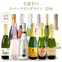 厳選 金賞入り 高品質 全部 辛口 スパークリング ワイン 12本 飲み比べ セット［常温］【4～5営業日以内に出荷】【送料無料】 [W][S] 泡 イタリア スペイン シャンパン製法 瓶内二次発酵 カヴァ スプマンテ オーガニック 入り ギフト おすすめ 飲み比べ