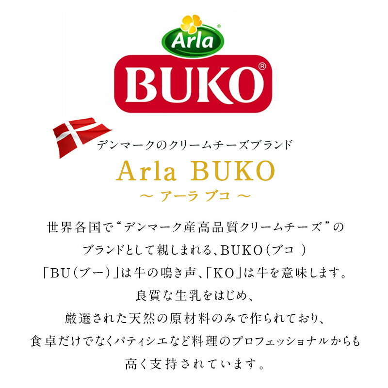 BUKO-�֥�- ���꡼������� �ץ졼�� ��500g����¢�ϡ�2��3�Ķ�������˽в١�