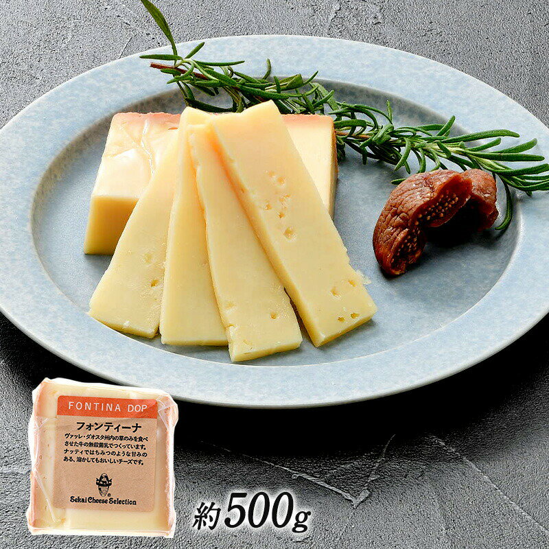 フォンティーナDOP カット 約500g［冷蔵］【3～4営業日以内に出荷】