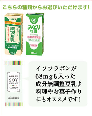 マルサンアイ 豆乳飲料[豆乳 無調整 調製 麦芽 抹茶]200ml×48本[24本×2箱]［賞味期限：製造より120日］1セット1配送でお届け【4〜5営業日以内に出荷】【送料無料】北海道・沖縄・離島は送料無料対象外［税別］