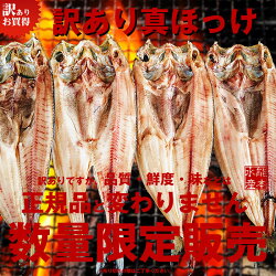 【脂のり最高】【送料無料】訳あり真ほっけ6枚合計約1.5Kg前後【干物】【ホッケ】