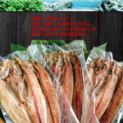 【脂のり最高】【送料無料】訳あり真ほっけ6枚合計約1.5Kg前後【干物】【ホッケ】