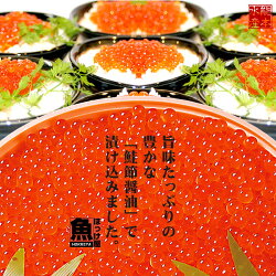 鮭節醤油いくら500g【05P01Oct16】
