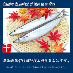 北海道産大型一汐サンマ(頭付き丸ごと1尾)2尾入り真空個包装