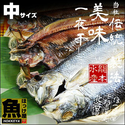 にしん 一夜干し 中サイズ 1枚 nomosuisan-10000120 干物直送便ほっけ屋 サンプル画像2