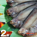 北海道(根室産)なめたがれい 一夜干し 特大サイズ 2枚