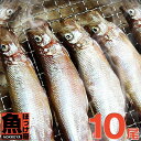 自社加工【送料無料】北海道（広尾産）ししゃも オス メス 込み30尾（10尾×3）（化粧箱入）【本ししゃも】シシャモ　ギフト お歳暮 誕生日プレゼント 内祝い 贈り物 母の日 父の日 北海道本ししゃもを数量限定販売。