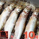 新物始まりました　自社加工　北海道（広尾産）ししゃもオスメス 込み 10尾 【本シシャモ】