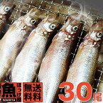 自社加工【送料無料】北海道（広尾産）ししゃも オス大サイズ 30尾 （化粧箱入）【本ししゃも】シシャモ　ギフト お歳暮 誕生日プレゼント 内祝い 贈り物 母の日 父の日 北海道本ししゃもを数量限定販売。漁終盤の婚姻色の大サイズ。