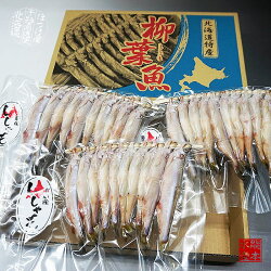 【送料無料】「新物」北海道(広尾産)ししゃもオスメス込み30尾(10尾×3)(化粧箱入)【本ししゃも】