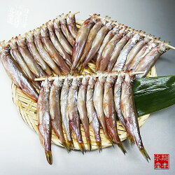 【送料無料】「新物」北海道(広尾産)ししゃもオスメス込み30尾(10尾×3)(化粧箱入)【本ししゃも】