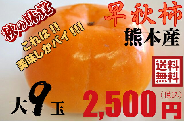 【熊本県産】早秋柿　大サイズ9玉★ 果物・野菜ソムリエ★が選ぶ！激オシ　【送料無料】　　美味しい柿　　熊本県　熊本カキ　おいしいかき　甘い　　秋の味覚　　糖度があります!のサムネイル
