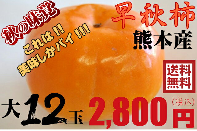 【熊本県産】早秋柿　中サイズ12玉★ 果物・野菜ソムリエ★が選ぶ！激オシ　【送料無料】　　美味しい柿　　熊本県　熊本カキ　おいしいかき　甘い　　秋の味覚　　糖度があります!のサムネイル