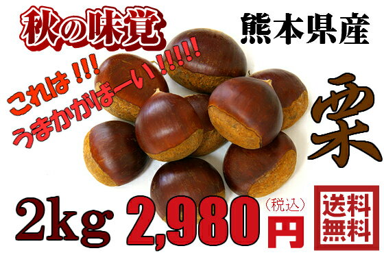 【熊本県産】栗　　2kg★ 果物・野菜ソムリエ★が選ぶ！激オシ　【送料無料】　　美味しい　　熊本県クリ　熊本くり　おいしい九州　甘い!のサムネイル