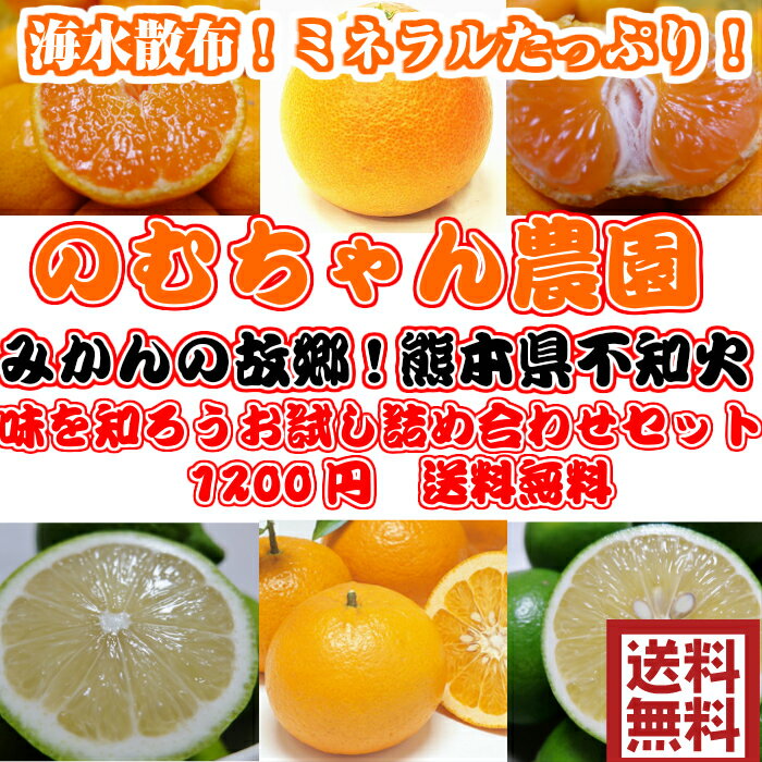 【熊本県産】こだわりみかん★ 果物・野菜ソムリエ★が作る！激オシ　【送料無料】海水散布!ミネラルたっ ...