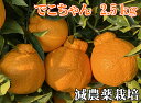 でこちゃん2.5K 特別栽培 【減農薬栽培】元祖