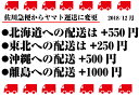 河内晩柑 訳あり 10k 減農薬 栽培 発祥の地 熊本★ ジューシーオレンジ ★果物ソムリエが作る 送料無料 ギフト オレンジ 美味しい ミカン 九州 みかん 美生柑 愛媛 河内晩柑 おいしいく安心 安全 グレープフルーツ 和歌山 夏文旦 天草晩柑 愛媛 フルーツ　グルメ お取り寄せ 3