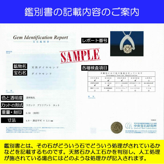 鑑別書解説