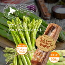 【送料無料】 アスパラ ブロック ベーコン セット 2L〜Lサイズ 450g 朝採り 即日 直送 アスパラガス 野村ファーム北海道 北海道 江別トンデンファーム...