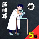 翌日配達 国産 豚 眼球 5個 目玉 教材 筋肉 繊維 高校 大学 実験 研究 観察 値段 冷凍 解剖 生物科 理科 授業 構造 水晶体 カミソリ ハサミ 中学 医学 角膜 夏休み 自由研究 ガラス体 前半球 後半球 ゼリー状 医療 眼科 強膜 虹彩 視神経束 実習 施設 仕組み 黒目 目 レンズ