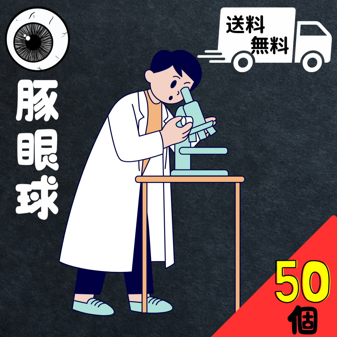 送料無料 豚 眼球 50個 目玉 教材 筋肉 繊維 高校 大学 実験 研究 観察 冷凍 解剖 生物科 理科 授業 構造 水晶体 カミソリ ハサミ 中学 医学 角膜 夏休み 自由研究 ガラス体 前半球 後半球 ゼリー状 医療 眼科 強膜 虹彩 視神経束 実習 施設 仕組み 黒目 目 レンズ