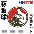 翌日配達 国産 豚 眼球 5個 目玉 教材 筋肉 繊維 高校 大学 実験 研究 観察 値段 冷凍 解剖 生物科 理科 授業 構造 水晶体 カミソリ ハサミ 中学 医学 角膜 夏休み 自由研究 ガラス体 前半球 後半球 ゼリー状 医療 眼科 強膜 虹彩 視神経束 実習 施設 仕組み 黒目 目 レンズ