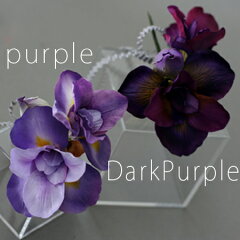 https://thumbnail.image.rakuten.co.jp/@0_mall/non-floral/cabinet/2009-01/iris-10.jpg