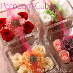 https://thumbnail.image.rakuten.co.jp/@0_mall/non-floral/cabinet/2011/popuri-mom11-10.jpg