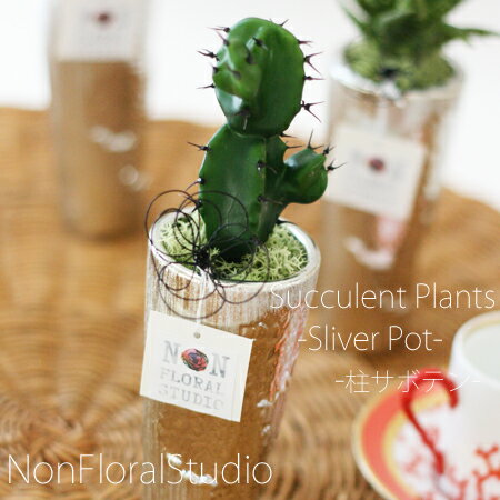 多肉植物SilverPot『柱サボテン』【アートフラワー】【アレンジメント】【多肉】【多肉】【男性】【父の日】【父の日】【インテリア】