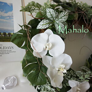 ̵ۥ󥭥1 Mahalo꡼40cm ȥե ꡼ ɾ  ޡ  󥹥ƥ ĳ 󥿥 󥹥ƥ ե ϥ磻  ƥꥢ ե  ץ쥼 ꡼ Ϥʤ