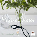 【レビューキャンペーン実施中】ボタニカルブーケ マジカルウォーターアレンジ 6種類『botanical bouquet-magical water』 ハーブ ラ...