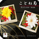 【選べる2色】和モダン「ことね菊 」すべてプリザ 苔に紅葉のモミジ 桐箱入り 苔 モス モミジ プリザアレンジ 敬老の日 もみじ 誕生日 オリジナル ギフト プレゼント 記念日 お見舞 上質 40代 50代 60代 70代 80代