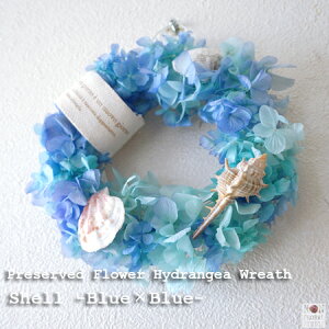 『Shell blue×blue--Standardサイズ-』【ギフトbox入り】【あす楽】 アジサ...