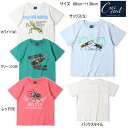 セール10%OFF クレセント crescent 昆虫プリント半袖Tシャツ 男の子 【メール便限定送料無料】 キッズ ベビー
