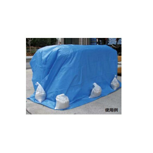 �֥롼�����ȡ�3.6m��5.4m �쥸�㡼�����ȤȤ��Ƥ��ָ���ɬ�ȡ�#2000 �ɺҥ��å��������к� �ɿ� ���� �� �٥��� ���� ���� �����ȥɥ� �쥸�㡼 ���٥�� ��ư�� �ֲ� �礭�� �ҳ� �ɺ� �ɴ� ���� ���� ��̳�� ���褱