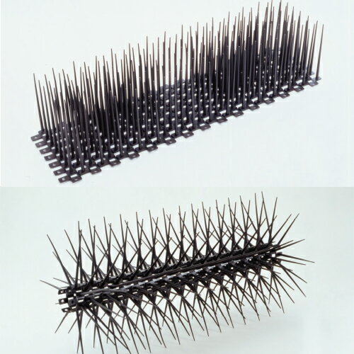 鳥害防止用品 とりケード 鳩よけ 長さ540mm×幅150mm×針の高さ120mm EG-52 フン害防止マット 鳥がとまる..