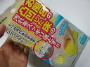 お風呂の凸凹した床の汚れをスッキリ落とす！お風呂床用ブラシスポンジ　両面使えるハンディタイプ ...