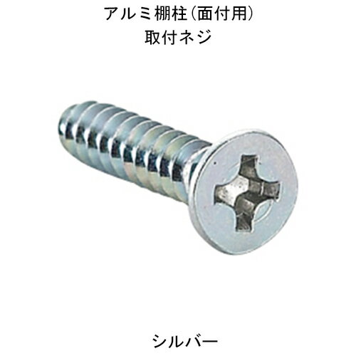 スガツネ棚柱AP-DM型用取付ネジ 十字穴付皿タッピンねじ100本セット メール便可 スガツネ工業/LAMP