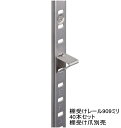 長さ90.9センチ(909ミリ) ステンレス棚受けレール(通称ダボレール・ダボ柱)【お得40本セット】 送料無料 棚柱 ダボ柱 棚柱 棚DIY 棚受け金具用 ラ...