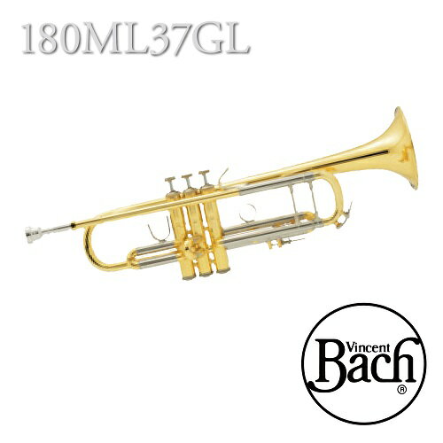 バック　：　B♭管トランペット　180ML　37ベル　ラッカー(GL)　モデル