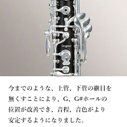 �ޥꥴ�����������ܥ���M2