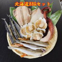 北海道BBQセット イカ一夜干し コマイ 縞ホッケ ホタテ...